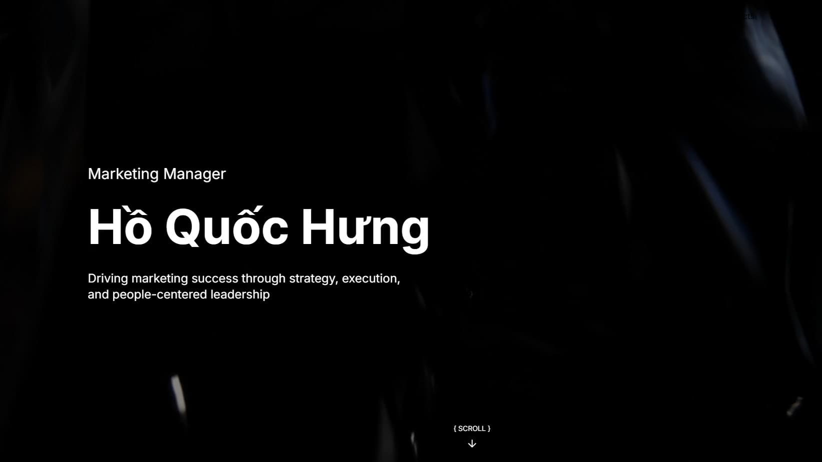 Hung Ho Portfolio Preview